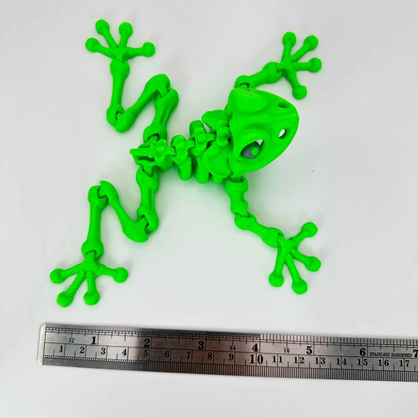 3D Printed Articulating Skeleton Frog – A Ribbiting Adventure in Skeleton Form!