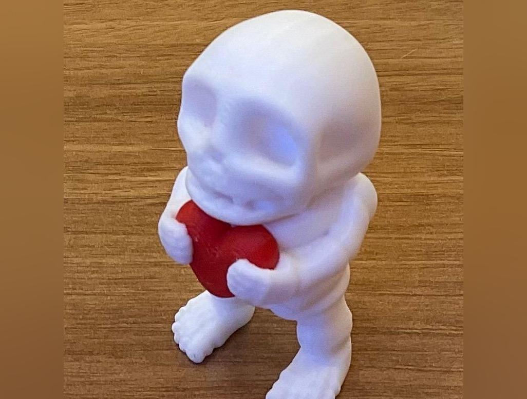 Heart Skeleton 3D Printed Articulating Figure